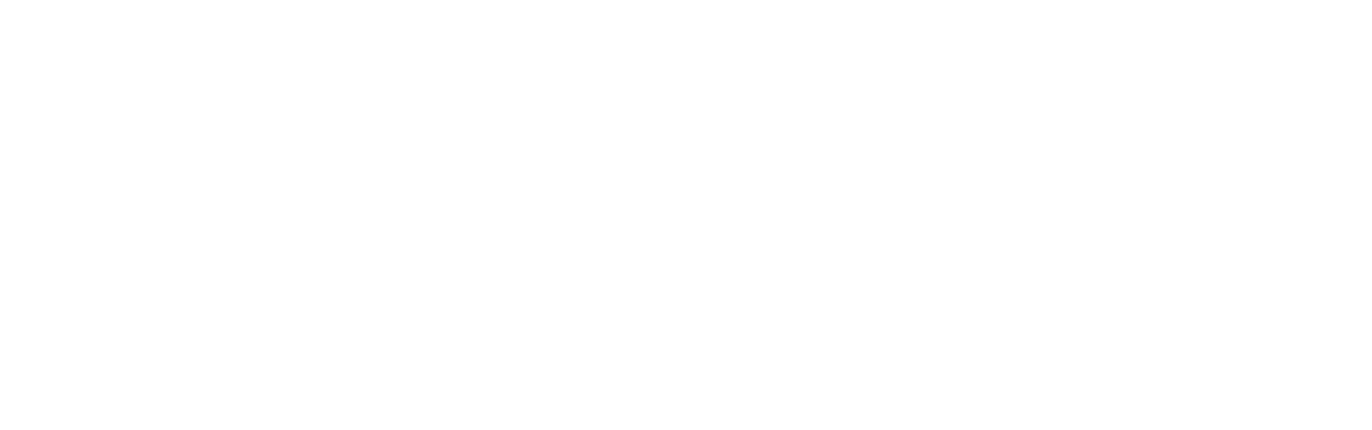 Presidential Party Bus Toronto Logo