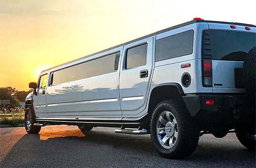 Belleville Party Bus