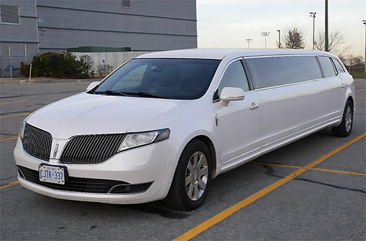 Mississauga Party Bus